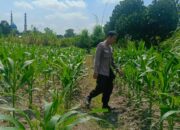 Kapolsek Labuapi: Keamanan dan Kesejahteraan Warga Perampuan Harus Sejalan