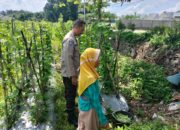 Ketahanan Pangan Diperkuat, Bhabinkamtibmas Desa Labuapi Ajak Warga Produktif