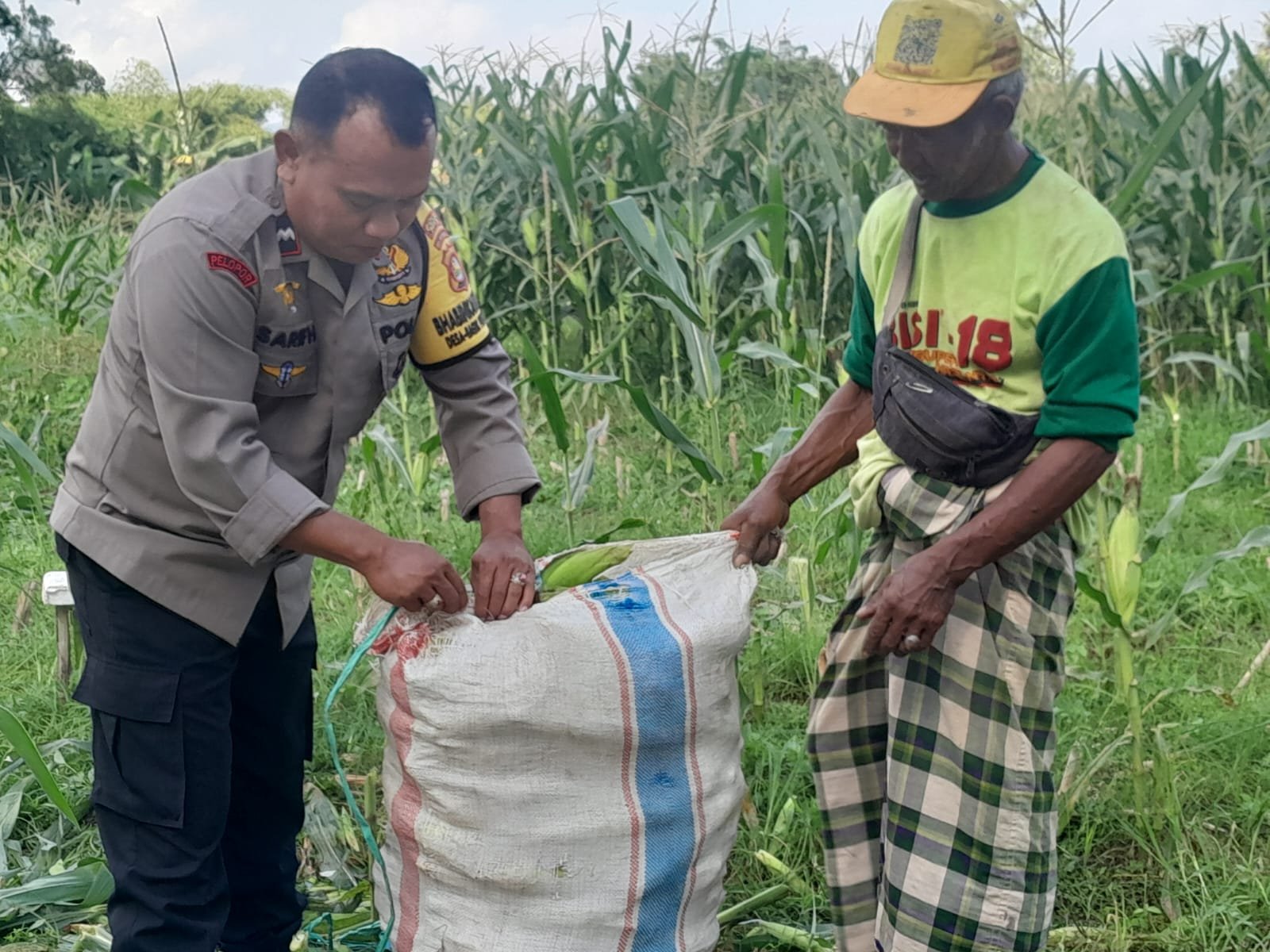 Panen Jagung Dusun Jerneng: Polsek Labuapi Dorong Swasembada Pangan Lokal