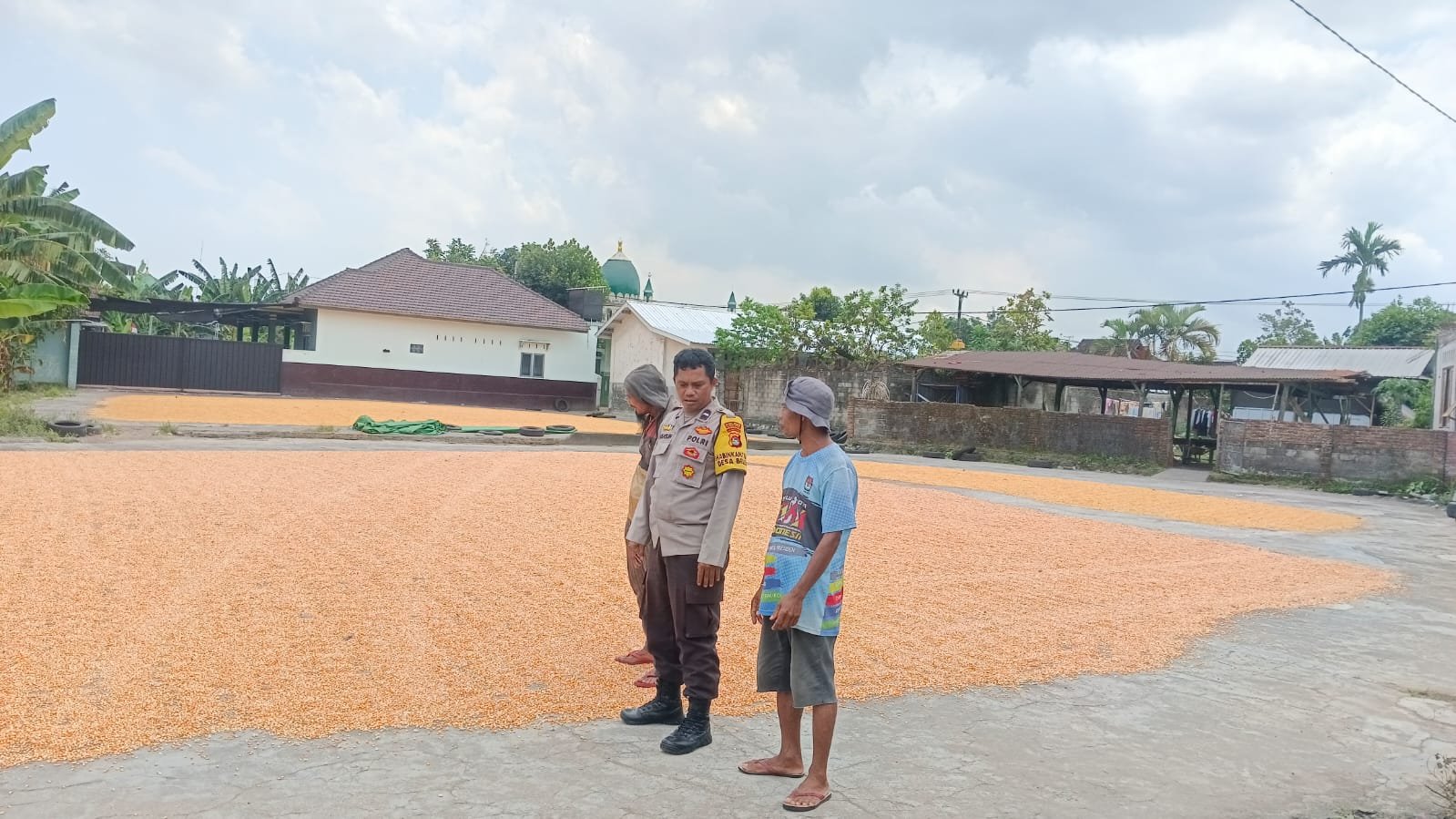 Sinergi Polri dan Pengusaha Lokal Jaga Pasokan Jagung di Lombok Barat