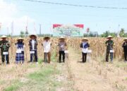 Polres Lombok Barat Gelar Panen Raya Jagung Serentak di Lembar dan Sekotong