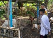 Ketahanan Pangan Desa Senggigi Didukung Inisiatif Bhabinkamtibmas Polsek Batulayar