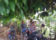 Bhabinkamtibmas Kuripan Ajak Petani Jagaraga Optimalkan Lahan Pekarangan