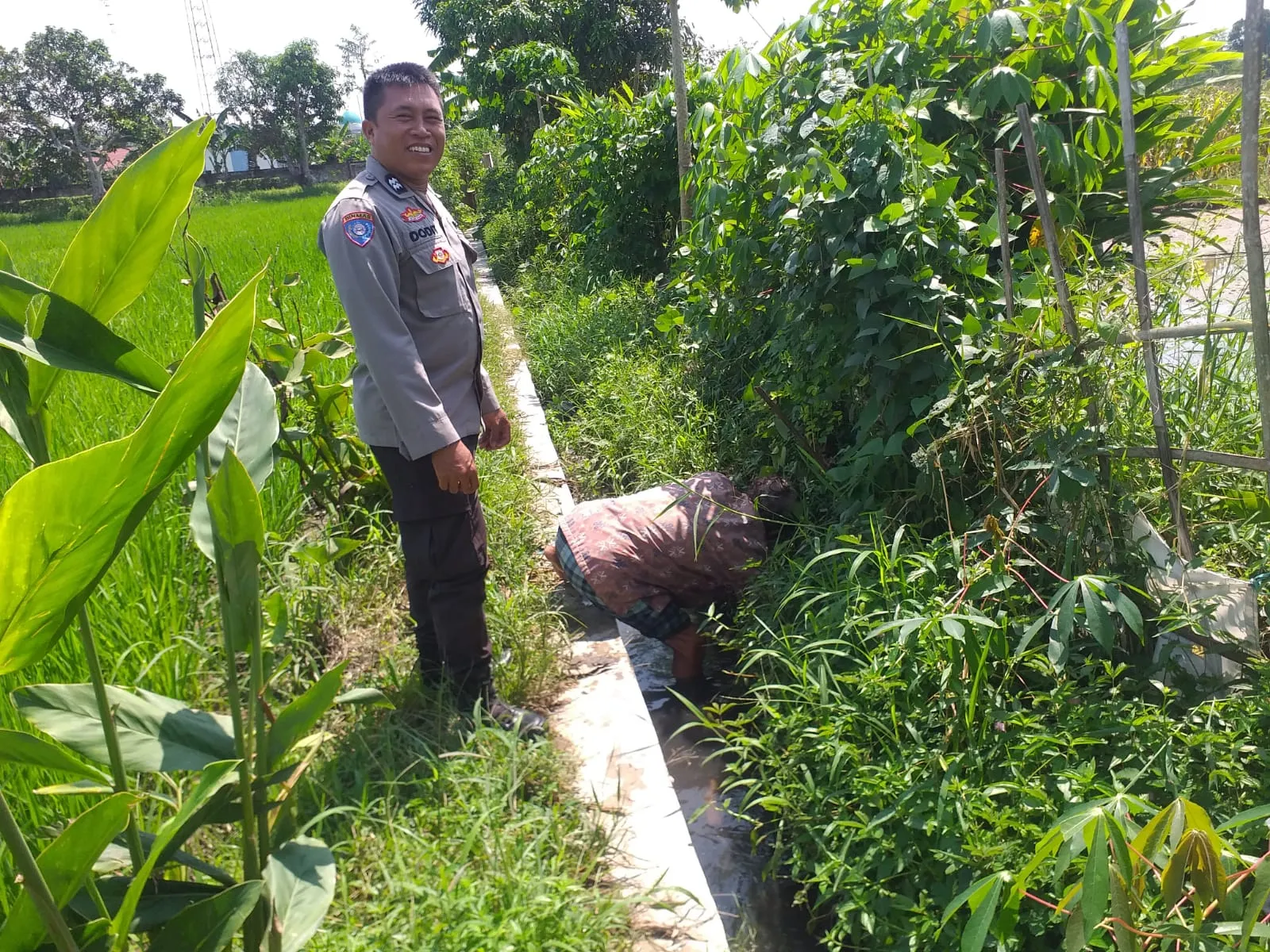 Petani Jagaraga Didorong Polri Tanam Padi dan Jagung untuk Pangan Lokal