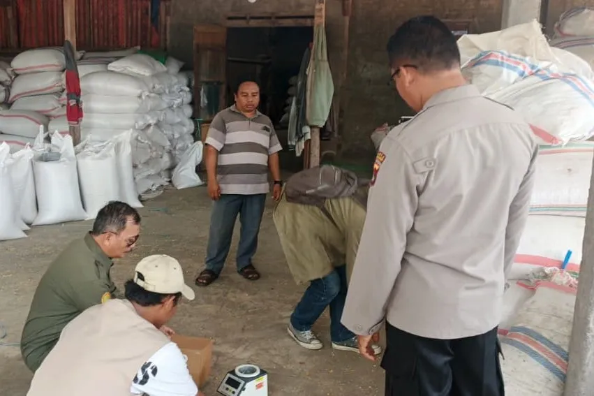 Kualitas Jagung Batulayar Capai Standar BULOG, Polsek Apresiasi Petani