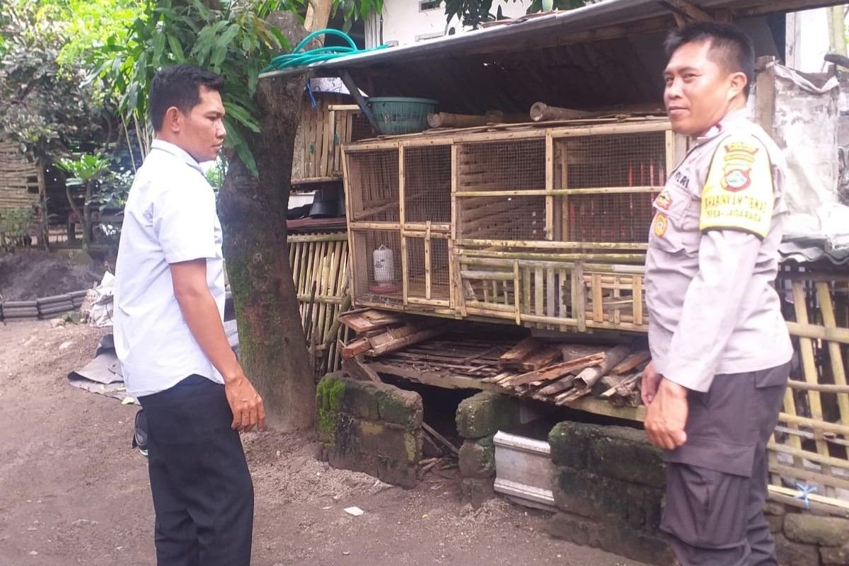 Motivasi Bhabinkamtibmas, Warga Nekat Bangun Kandang Ayam di Pekarangan
