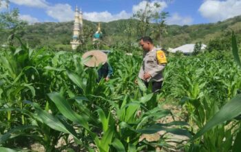Langkah Polsek Gerung Perkuat Kemandirian Pangan